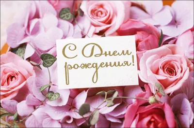 1 апреля — День рождения коньяка / Открытка дня / Журнал Calend.ru