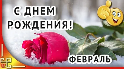 С Днем рождения в ФЕВРАЛЕ! | поздравления | Дзен