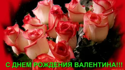 Поздравляем с Днём рождения Валентину Ивановну! | 24.04.2023 | Кущёвская -  БезФормата