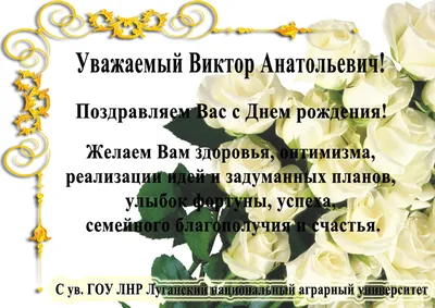 С днем рождения, Виктор! - Новости клуба - официальный сайт ХК «Металлург»  (Магнитогорск)