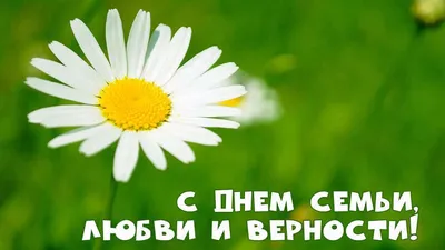 День семьи, любви и верности – Библиотечная система | Первоуральск