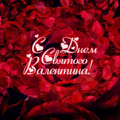 День Святого Валентина 2023: лучшие новые открытки и поздравления ко Дню влюбленных  14 февраля - sib.fm