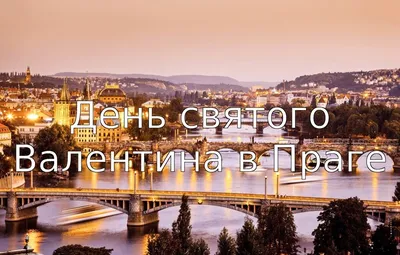 https://dzen.ru/a/ZboZ6Rk4dn-oy6c-