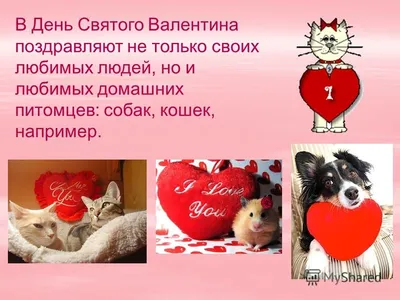 С днем святого Валентина! | Светлана Светлана | Дзен