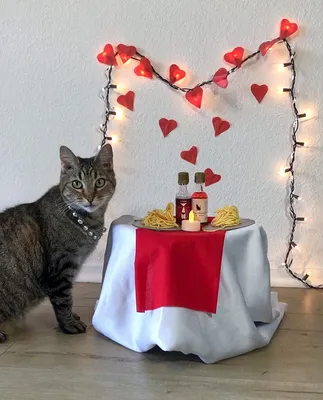 Милый пушистый котенок обнимает красное сердечко. Поздравление с Днем  Святого Валентина от романтичной кошки, держащей сердце. Генеративный  искусственный интеллект. - Ozero - российский фотосток