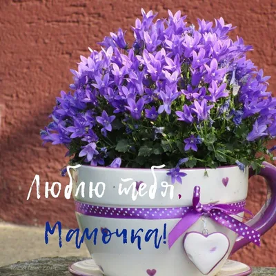Открытки с Днём Святого Валентина для мамы - RozaBox.com | Открытки,  Праздничные открытки, Мужские дни рождения