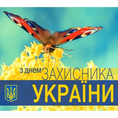 14 октября - День защитников и защитниц Украины!