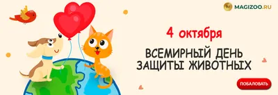 4 октября – Всемирный день защиты животных!