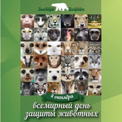 Поздравляем с Днем защиты животных! | Государственная библиотека Югры