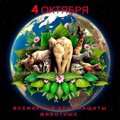 4 октября – День защиты животных - Российская Государственная библиотека  для слепых