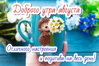 Formybaby.ru - С ДОБРЫМ ЛЕТНИМ УТРОМ! Сегодня 8 августа,... | Facebook