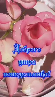 С Добрым Утром! 29 АВГУСТА. #доброгоутра #сдобрымутром #доброеутро #ут... |  TikTok