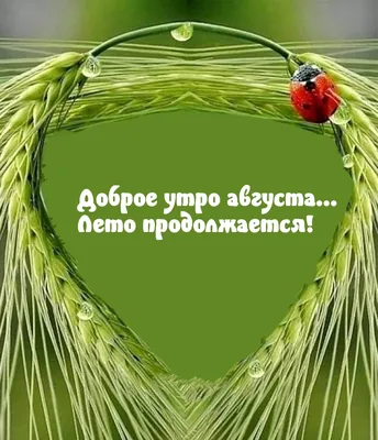 Картинки с надписью - С добрым утром, августа! Пускай день будет легким.