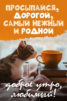 С добрым утром！💞💜💞 | TikTok