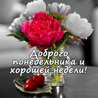 Доброе утро, друзья!☀ С началом новой рабочей недели вас! Желаем достижения  всех поставленных целей!👍🏻 | ВКонтакте