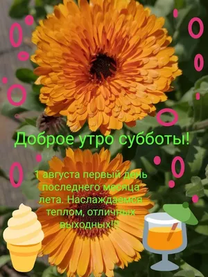С добрым утром! :: Наталья Казанцева – Социальная сеть ФотоКто