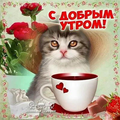 Доброе утро Всем! :: Ната57 Наталья Мамедова – Социальная сеть ФотоКто