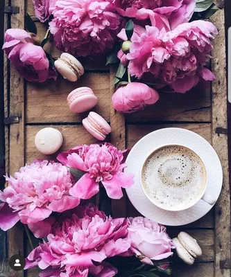 Pin by Olga Frunze on доброе утро | Flower arrangements, Beautiful flower  arrangements, Pink flowers