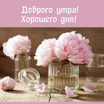 Идеи на тему «С добрым утром!» (8) | доброе утро, розовые пионы, надписи
