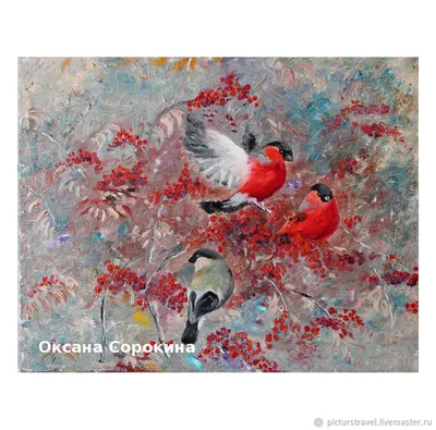 Pin by Светлана on С добрым утром | Bird, Beautiful birds, Pet birds