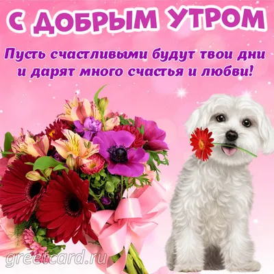 Чудесная открытка с добрым утром - GreetCard.ru