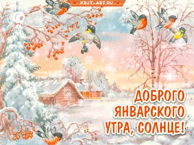 Идеи на тему «Доброе зимнее утро» (190) | открытки, доброе утро, зимние  картинки