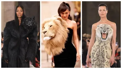 Модный бренд Schiaparelli оскандалился из-за чучел животных в коллекции –  видео - Fashion