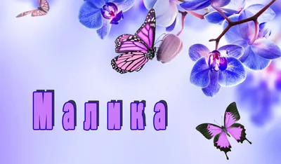Раскраски женское имя Малика распечатать бесплатно в формате А4 (42  картинки) | RaskraskA4.ru