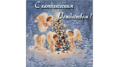 Поздравление с католическим Рождеством от руководства Могилевской области |