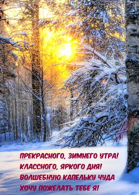 Картинки \"Доброго зимнего дня!\" (306 шт.)