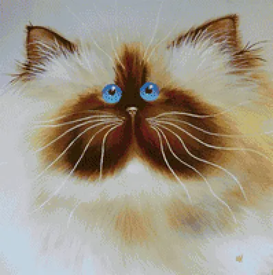Фото кошка Животные Рисованные