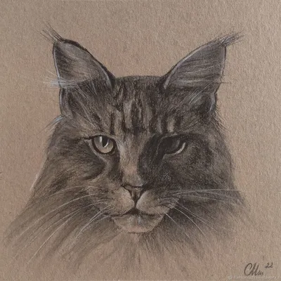 Рисунок карандашом кот» — создано в Шедевруме