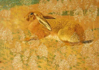 Как живут кролики и зайцы. Познавательные истории – FirstStories