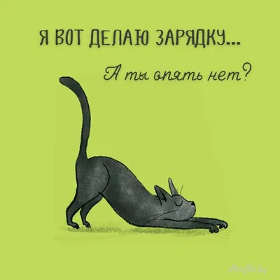 Наклейка интерьерная на стену и авто, надписи на дверь и ноутбук,  холодильник и унитаз, на автомобиль, зеркало или дневник. Прикольные  наклейки с приколами, смешные. - купить по выгодным ценам в  интернет-магазине OZON (