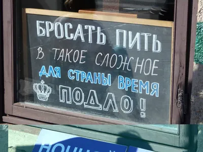 Смешные штендеры😂 с надписями от продавцов! Креативные обращения к  покупателям, без улыбки мимо не пройдешь | Призма жизни | Дзен