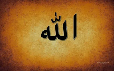 Мусульманские виниловые наклейки с надписью «Благословение Аллах» |  AliExpress
