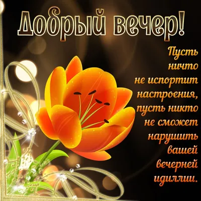 Фартук с надписью Добрый вечер, мы из Украины! (ID#1882733346), цена: 488  ₴, купить на Prom.ua