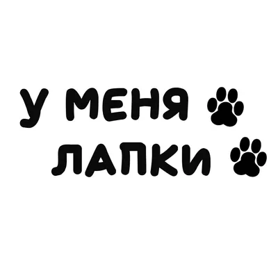 8 смешных лент на выпускной с правдивыми надписями | Zinoink о комиксах и  шутках | Дзен