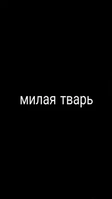 Обои на телефон | Вдохновляющие цитаты, Вдохновляющие высказывания, Цитаты  лидера