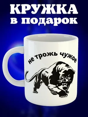 Мне было обидно, когда Бышовец убрал из «Локомотива» Лоськова с Евсеевым» —  Сенников