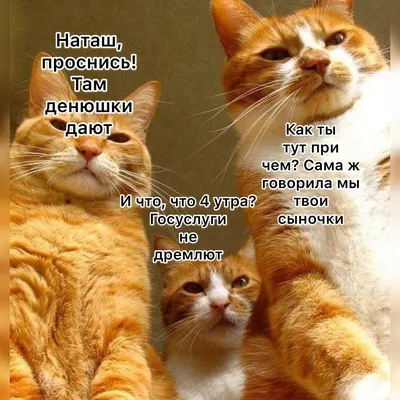 Когда обиделась : r/Pikabu