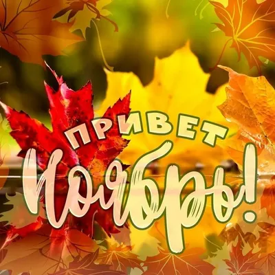 🎉День шуршания листьями 10 октября | 10 октября, Октябрь, Полезные для  здоровья завтраки