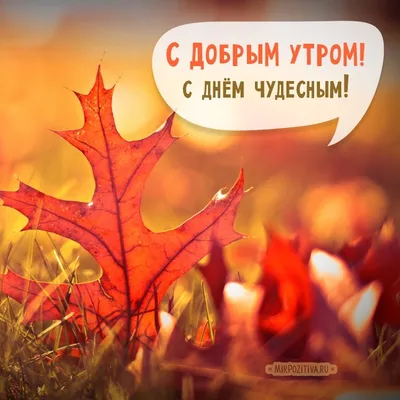 октябрь сухие листья земли Обои осени с текстом Стоковое Изображение -  изображение насчитывающей сух, померанцово: 127461269