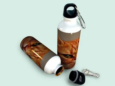 Бутылка фляга для воды \"Кот, похмелье, красный\" 750 мл. с карабином и  принтом - купить с доставкой по выгодным ценам в интернет-магазине OZON  (556800132)
