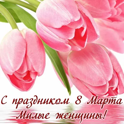 Картинки с 8 марта с пожеланиями с тюльпанами (43 фото) » Юмор, позитив и  много смешных картинок