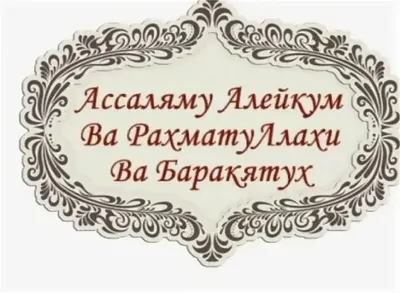 Футболка базовая хлопковая Салам Алейкум TuMer's 163955991 купить за 486 ₽  в интернет-магазине Wildberries