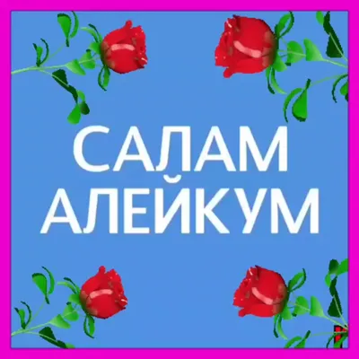 Салам алейкум, кал калай? Как устроить путешествие по Казахстану и где  «дать пятюню» Назарбаеву | Altapress.ru: самое интересное | Дзен