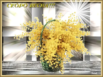 Motor-Roller «Любовь, Рок-н-ролл и скоро Весна!» в Музкафе Алматы - 9  февраля 2024 концерты купить билет | Ticketon