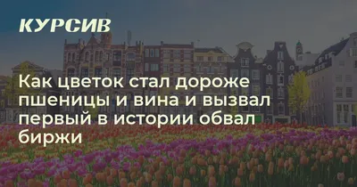 Ты дороже всех на свете - красивые картинки (50 фото) • Прикольные картинки  и позитив