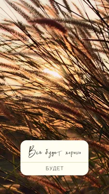 Мангал разборный с индивидуальной надписью на 10 шампуров все будет хорошо  Adwear Мангал розбірний з (ID#2037450155), цена: 1879.99 ₴, купить на  Prom.ua